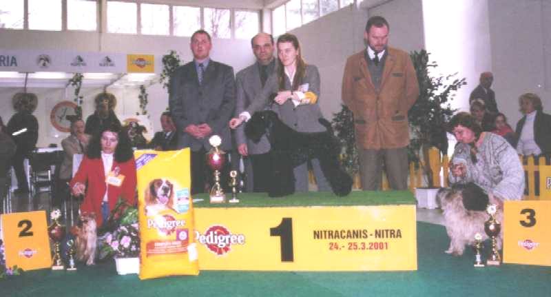 Terrier Group Nitra